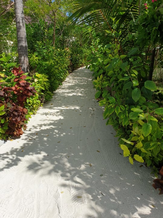 Außenansicht TUI BLUE Olhuveli Romance