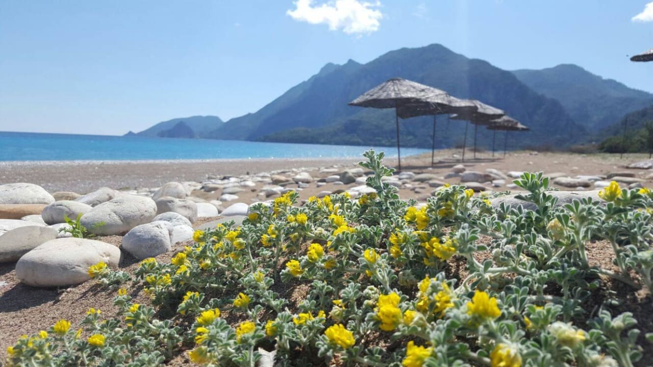 Ursprünglich Odile Hotel