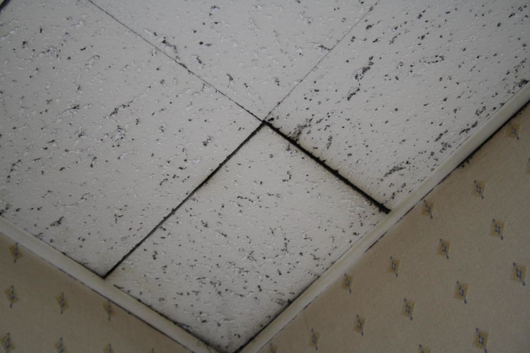 Zimmerdecke Hotel Le Mondon