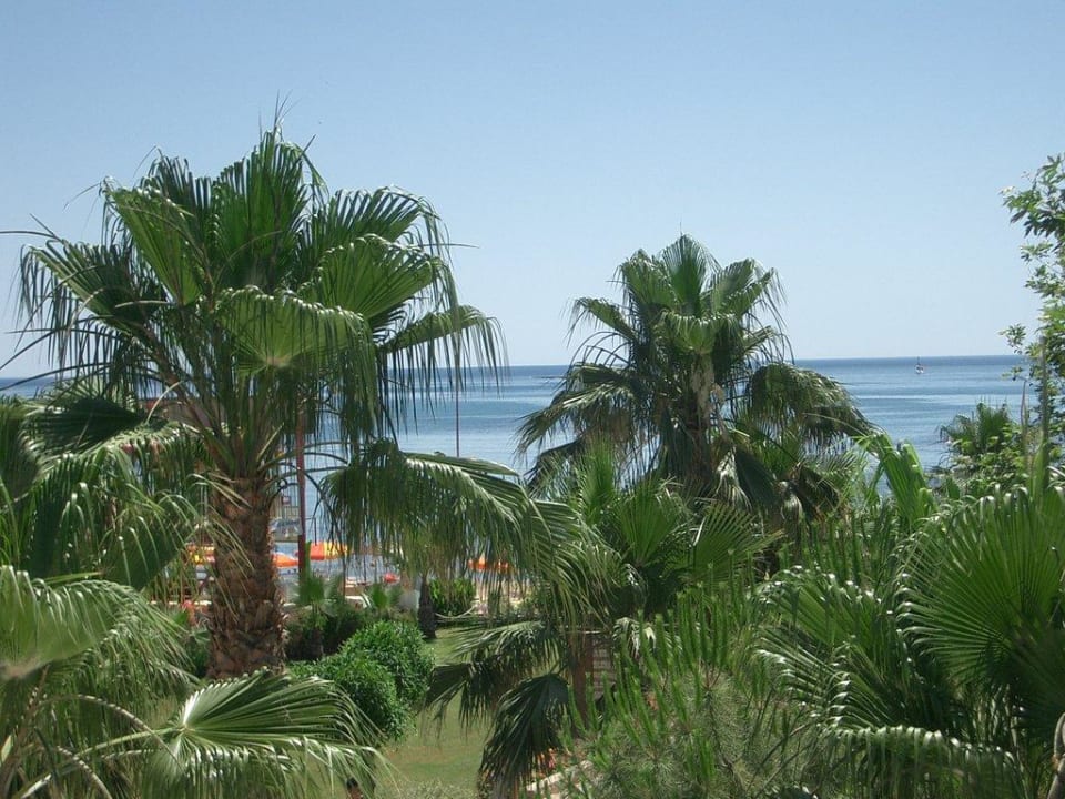 Das Meer von den Rutschen aus Trendy Palm Beach (Adults Only, 16+)