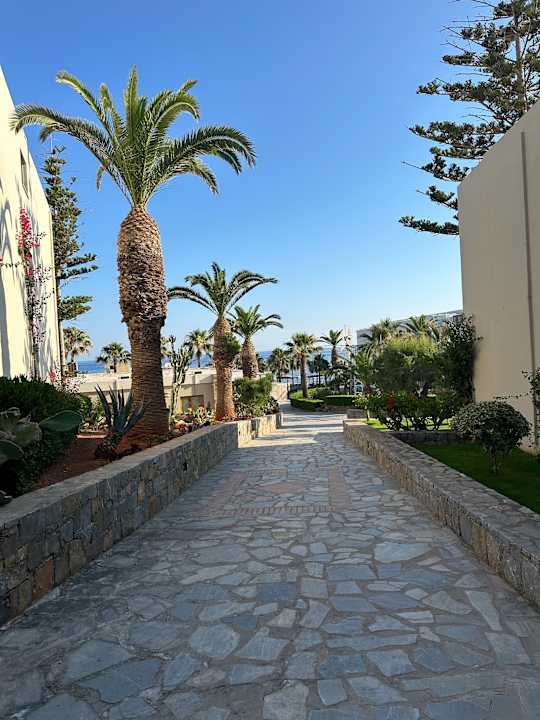 Gartenanlage allsun Hotel Malia Beach