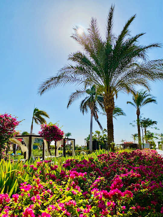 Gartenanlage Steigenberger Resort Ras Soma