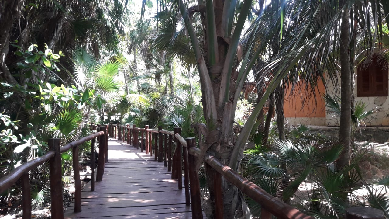 Gartenanlage Grand Palladium Select White Sand Resort & Spa