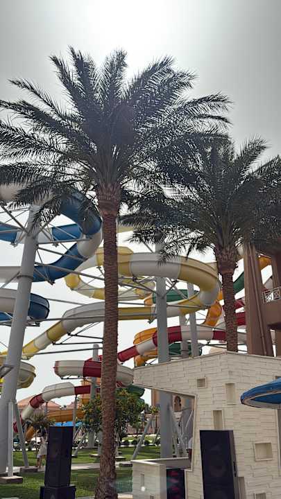 Pool Pickalbatros Aqua Park Resort - Hurghada