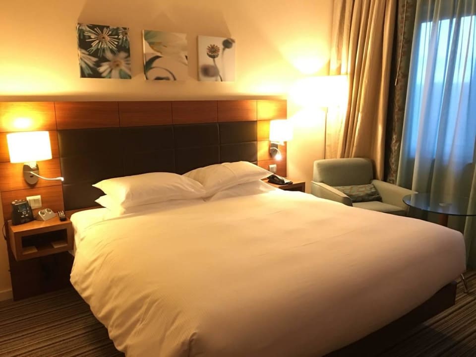 Standardzimmer mit Blick zum Stadtwald Hilton Garden Inn Frankfurt Airport