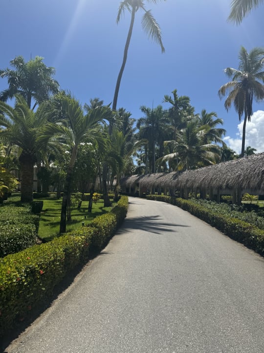 Gartenanlage Grand Palladium Punta Cana Resort & Spa