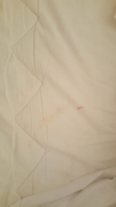 Zimmer Ghazala Gardens