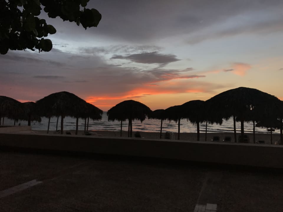 Strand Starfish Cuatro Palmas
