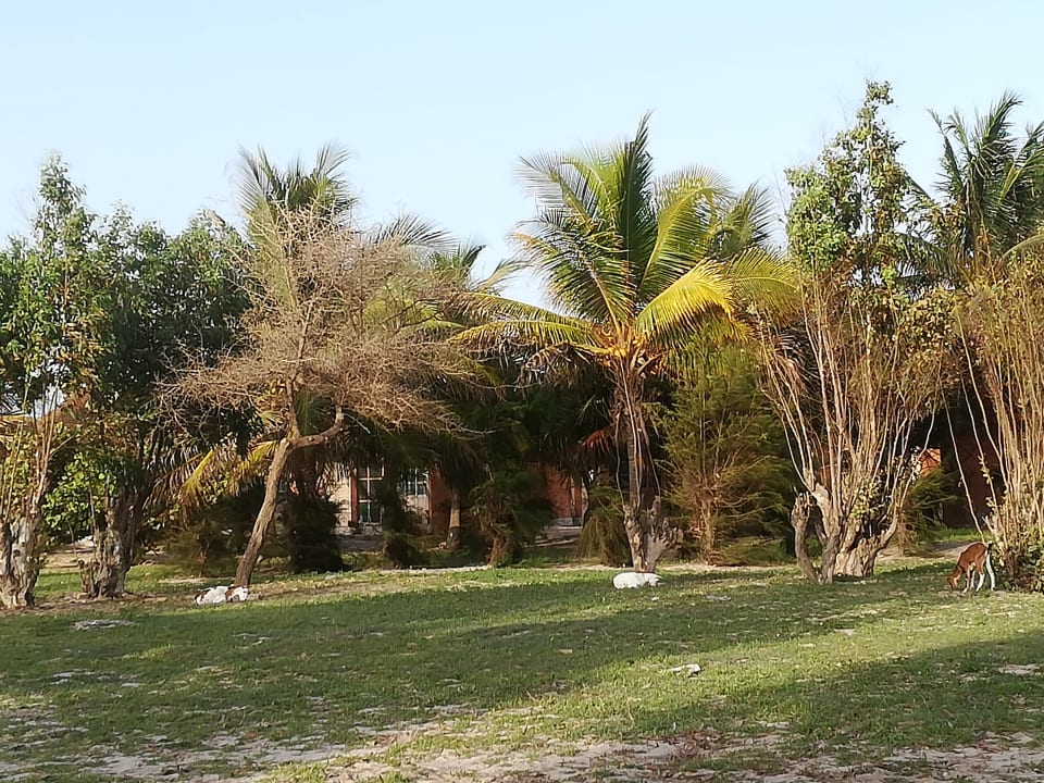 Gartenanlage Campement Nanaay