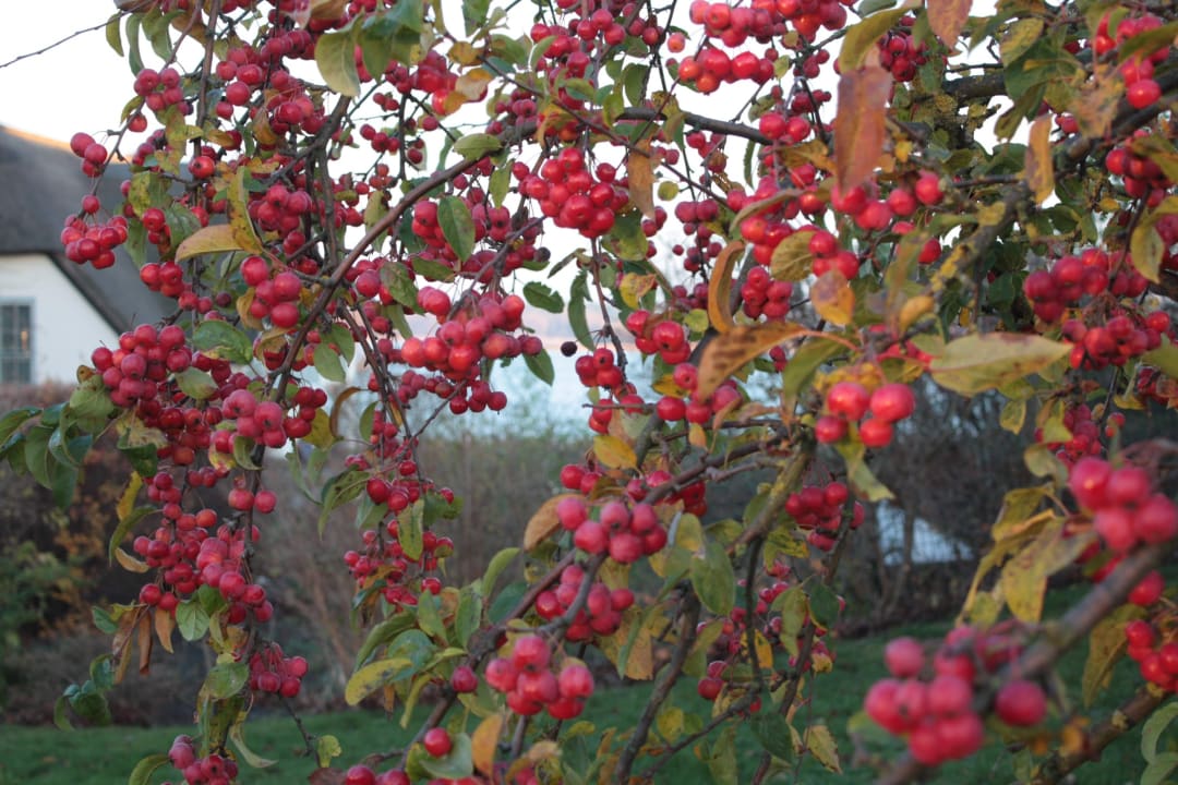 Gartenanlage Balmer See Hotel · Golf · Spa