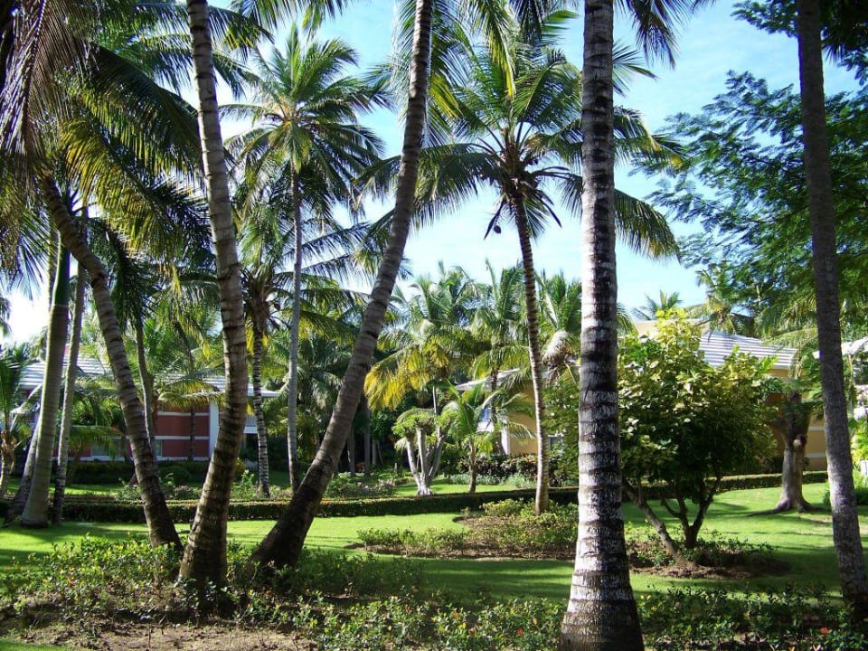 Traum Garten Grand Palladium Select Bávaro Resort & Spa