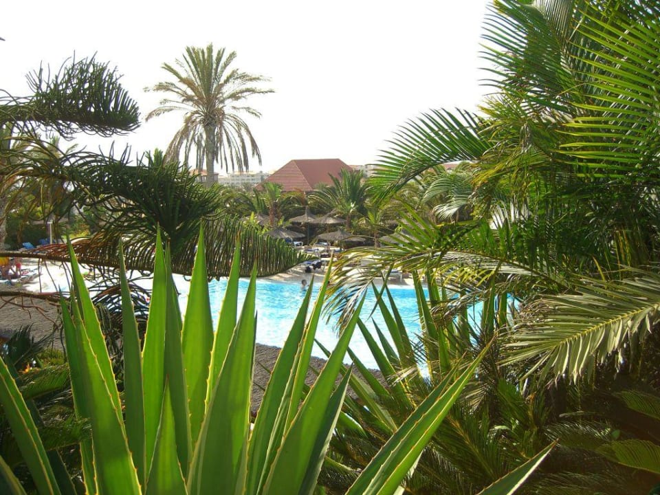 Blick zum Pool allsun App.-Hotel Esquinzo Beach