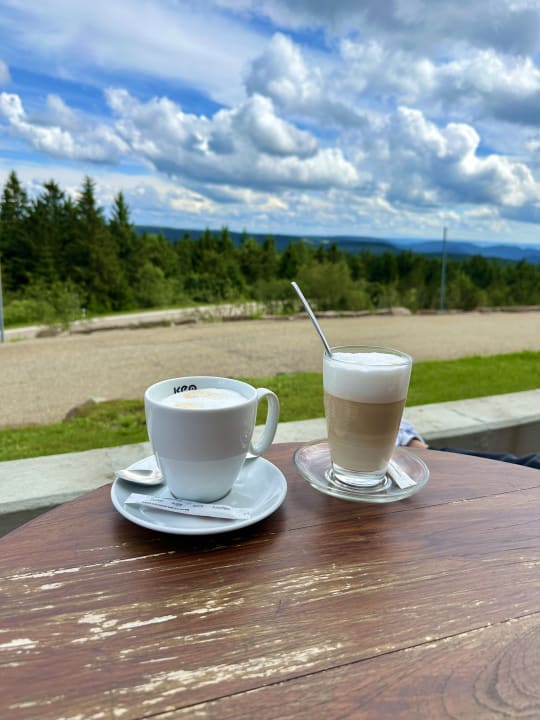 Ausblick Wellness- & Nationalpark Hotel Schliffkopf, BW Signature Collection by Best Western