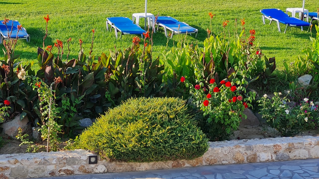 Gartenanlage Mastichari Bay Hotel