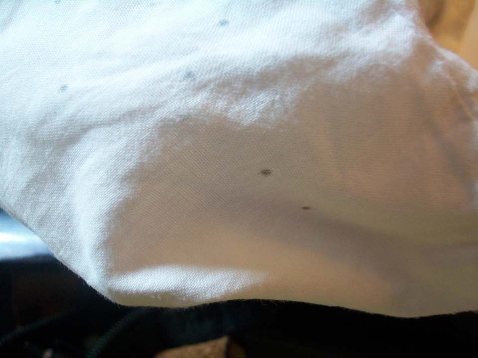 Flecken auf Kissen Kevin Business Hotel