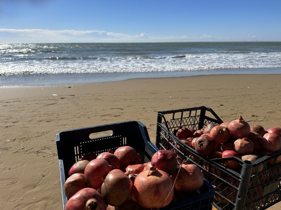 Gastro Diamond De Luxe Hotel & Spa