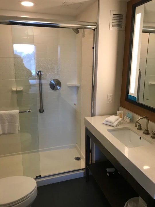 Zimmer Hampton Inn Brooklyn Downtown