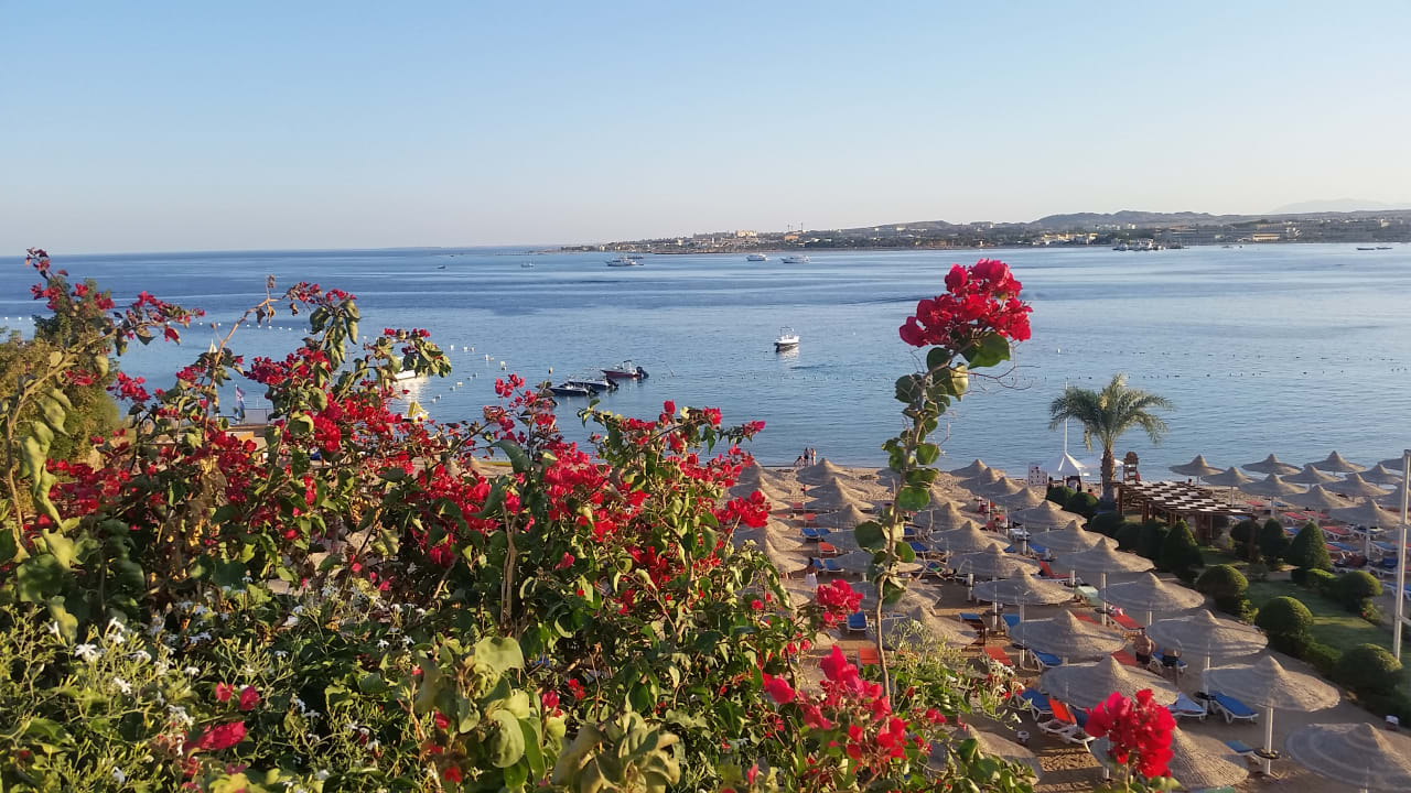 Ausblick Prima Life Makadi Resort