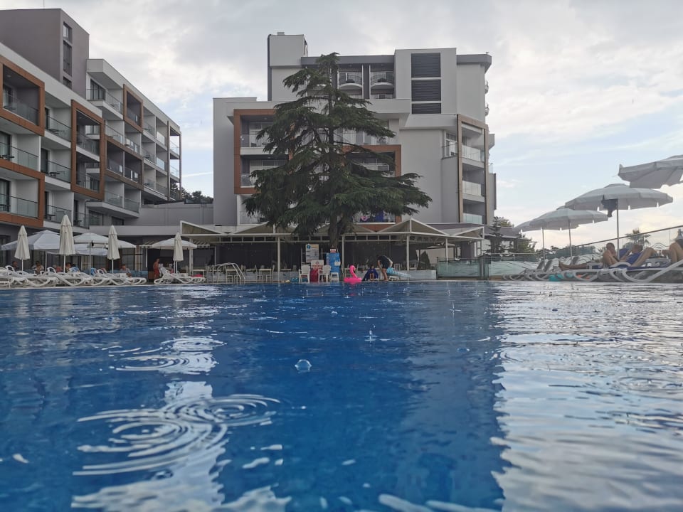 Pool Sentido Marea