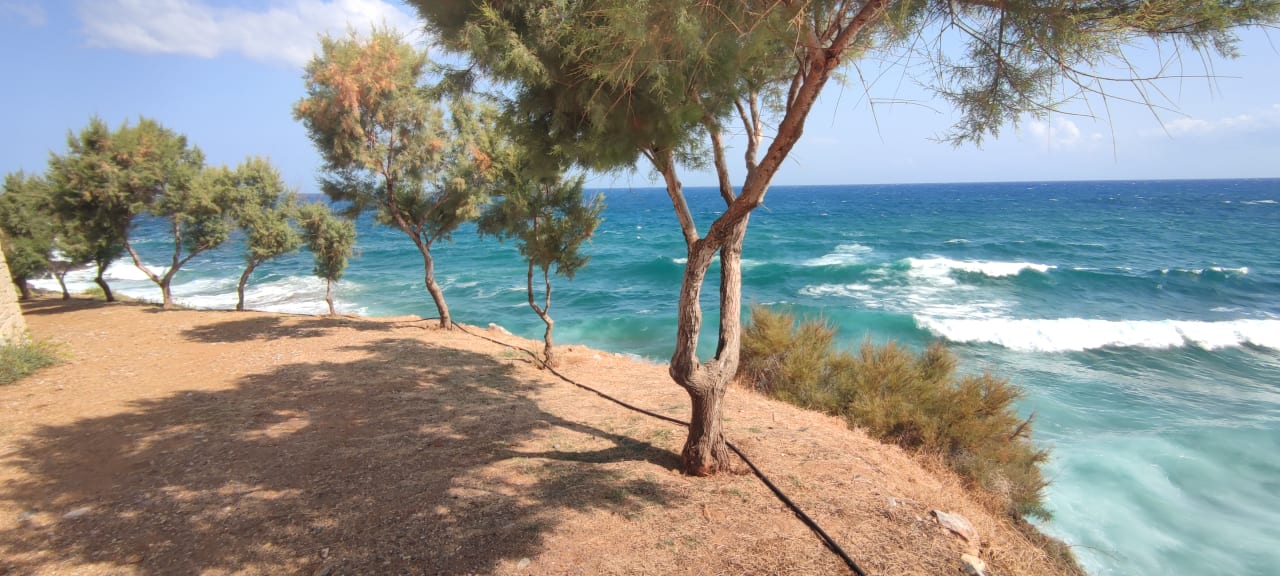 Außenansicht Hotel Stella Beach