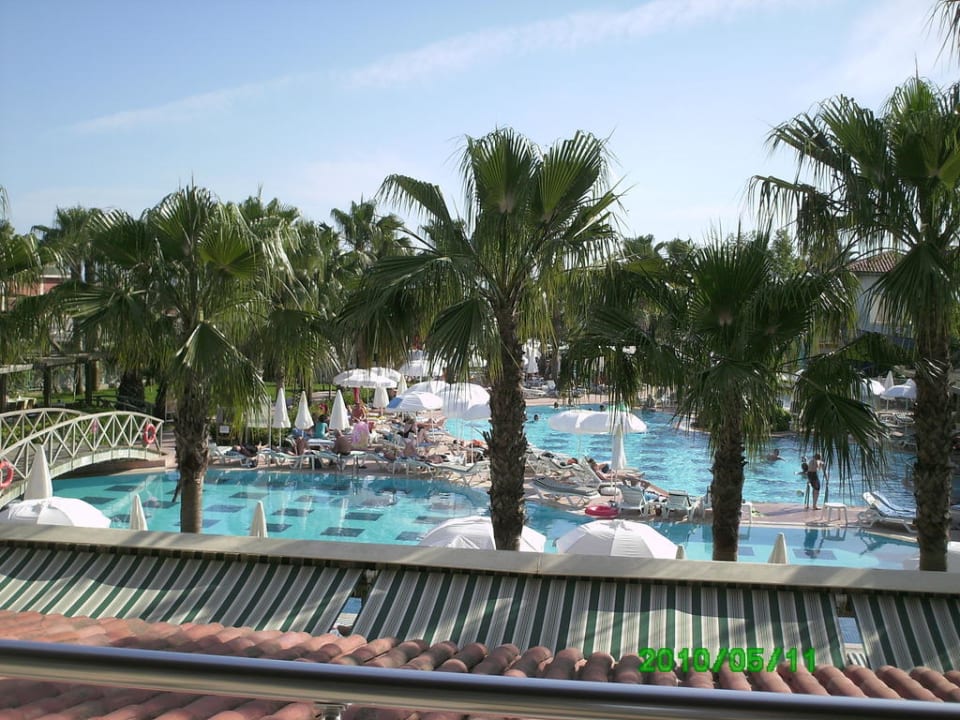 Ausblick von der Veranda Trendy Palm Beach (Adults Only, 16+)
