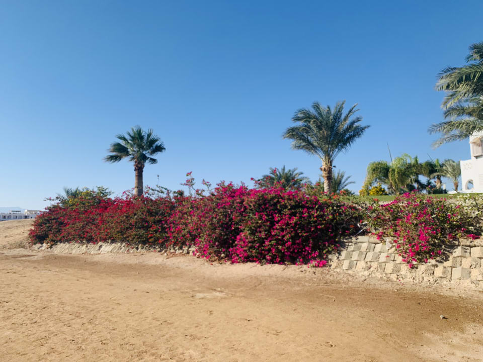 Außenansicht Hotel Mercure Hurghada