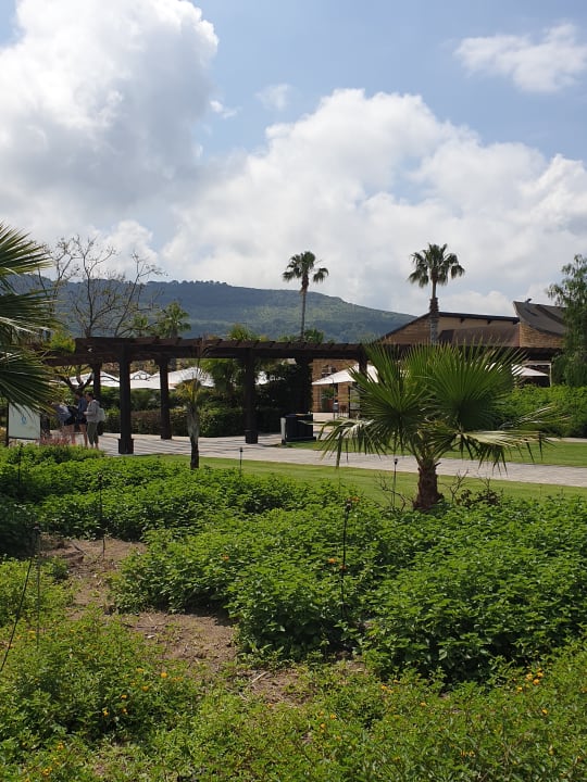 Außenansicht TUI MAGIC LIFE Calabria