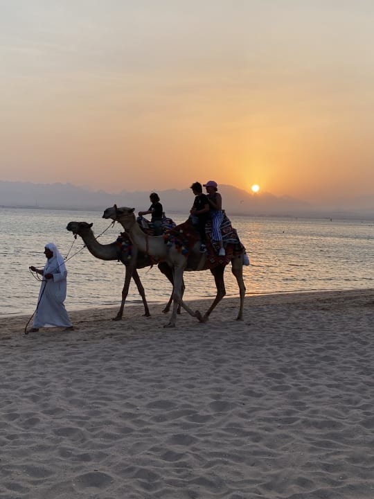 Strand ROBINSON SOMA BAY