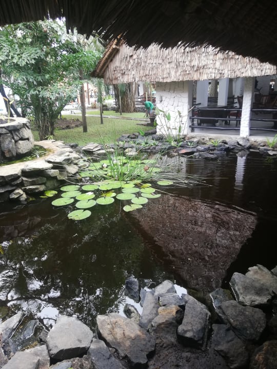 Gartenanlage Hotel Southern Palms Beach Resort