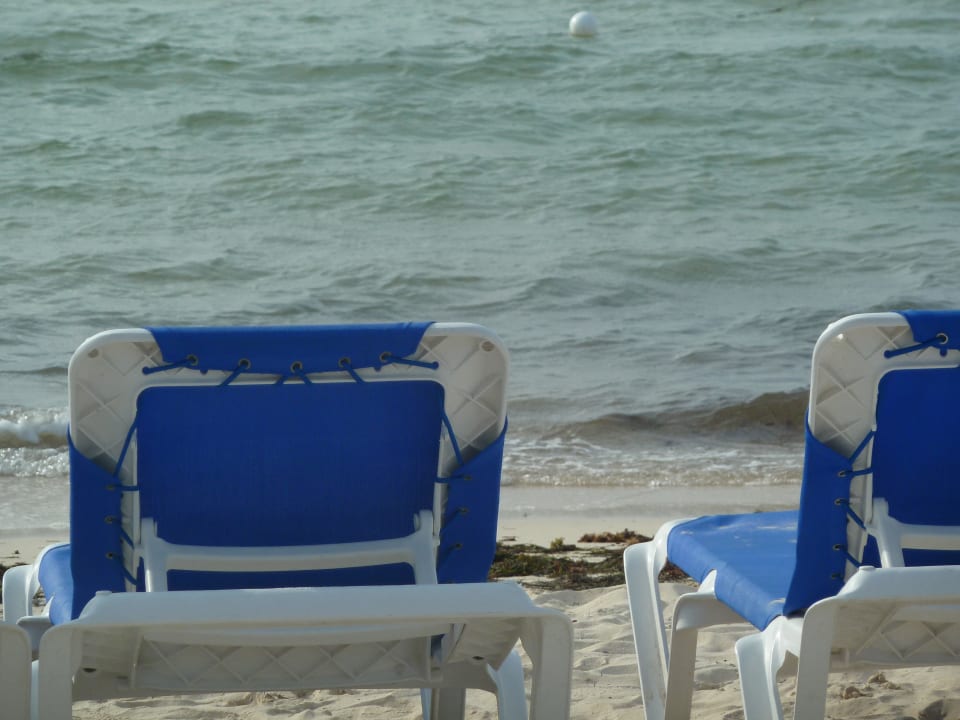 Die Liegen am Strand  BlueBay Grand Esmeralda