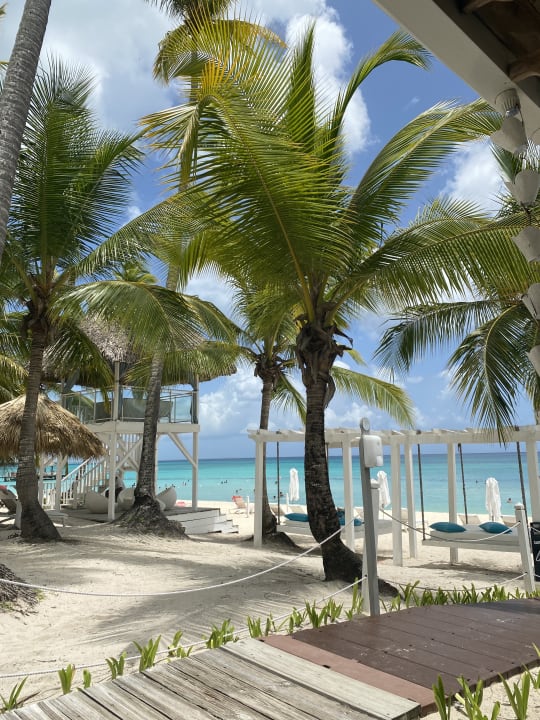 Außenansicht Catalonia Royal La Romana - Adults only