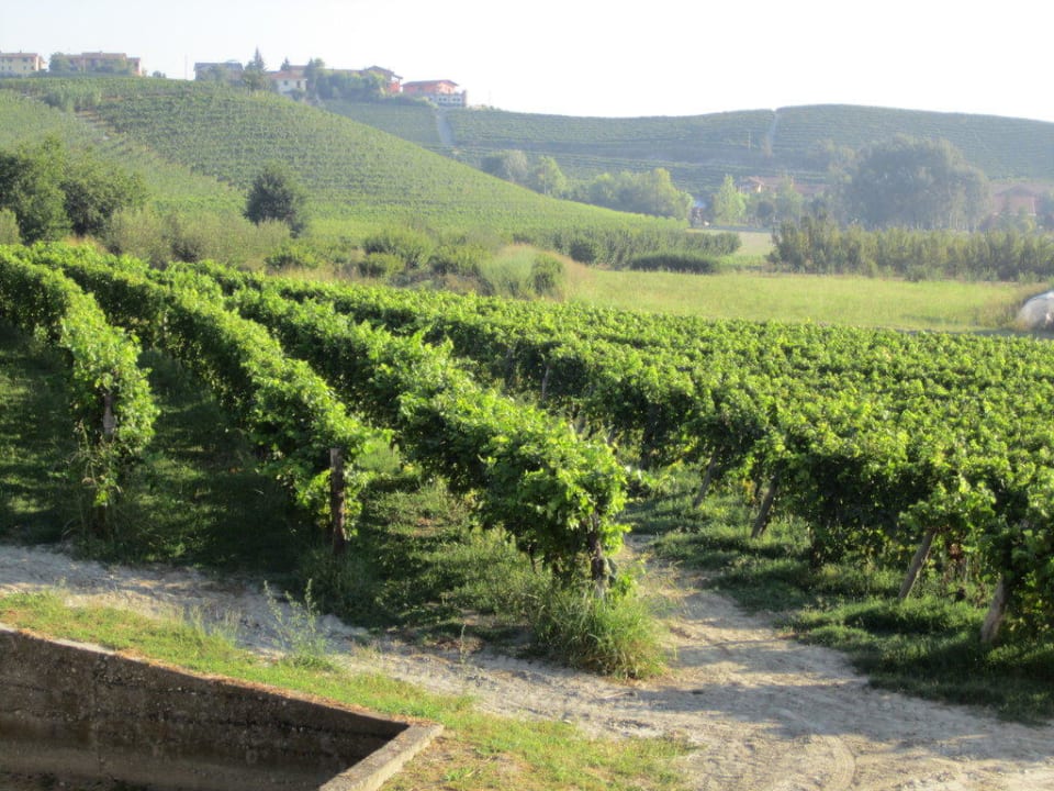 Ausblick von unserem Fenster aus B&B Cascina Rocca Agriturismo