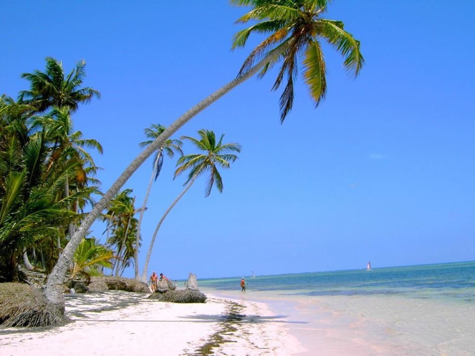 Strand zur rechten Seite Catalonia Punta Cana - All Inclusive