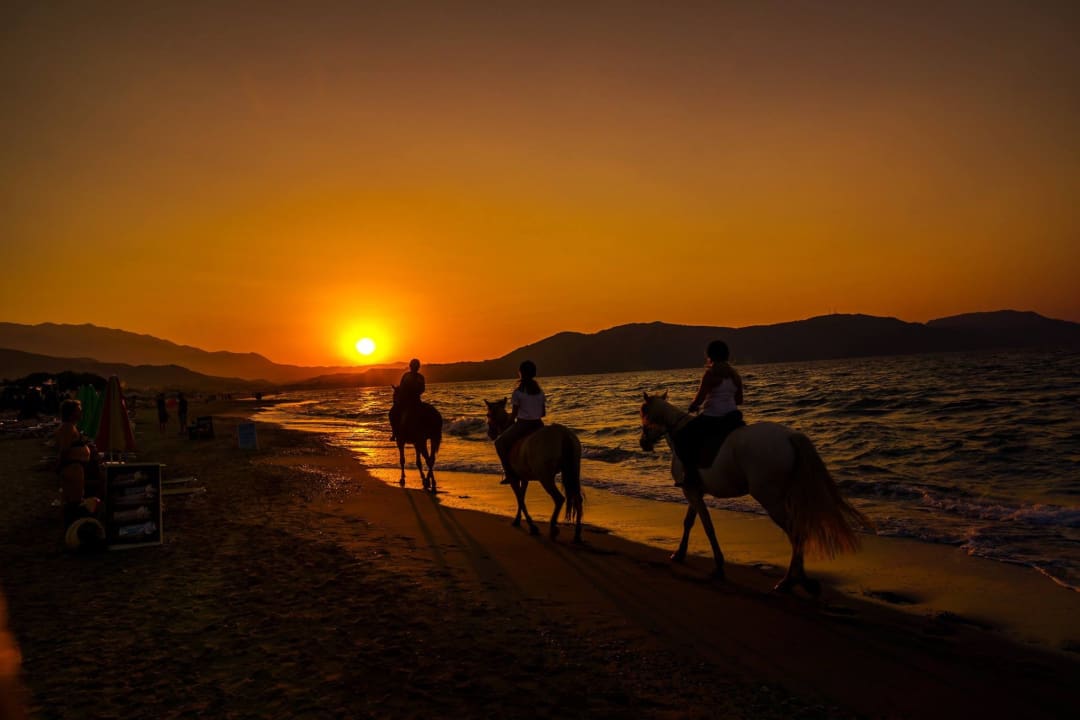 Strand HARPIN Happy Days Beach Hotel