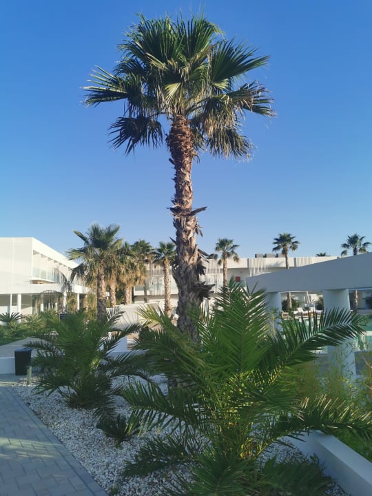 Außenansicht White Dreams Resort & Anex