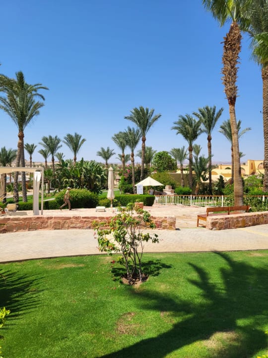 Gartenanlage Steigenberger Coraya Beach - Adults only