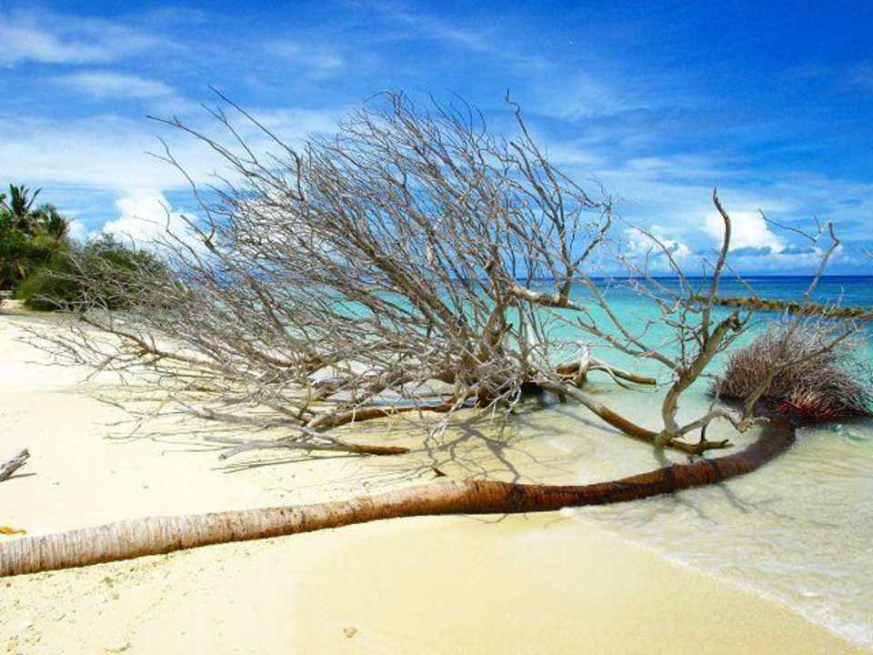 Auf der Nordseite der Insel Kuredu Island Resort & Spa