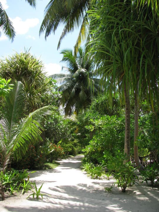 Weg zu den Bungis Kuramathi Maldives
