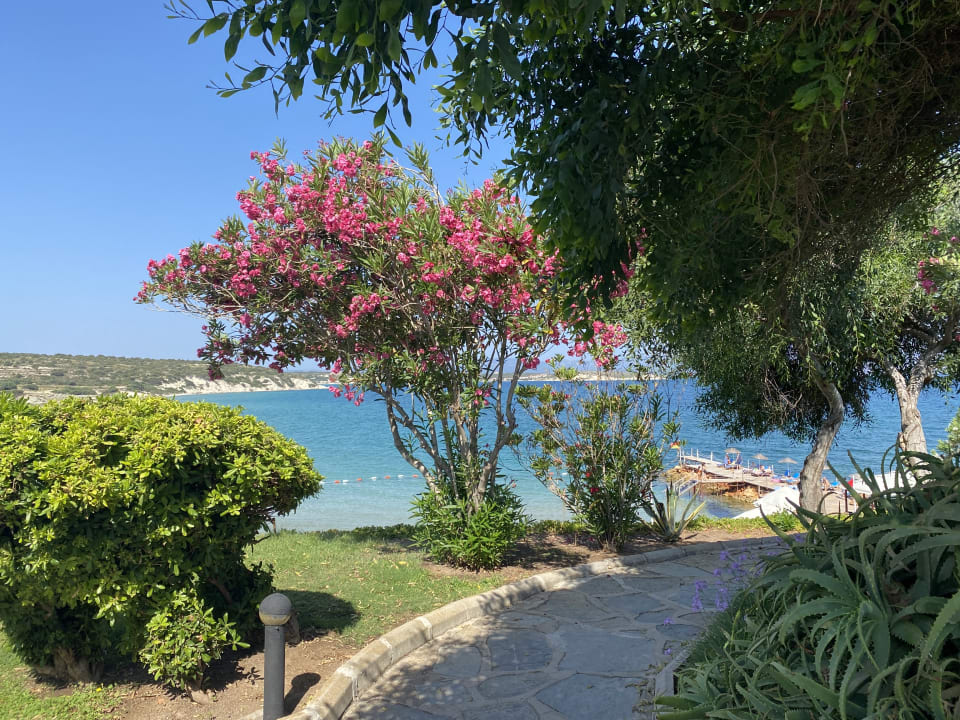 Gartenanlage Hotel Babaylon