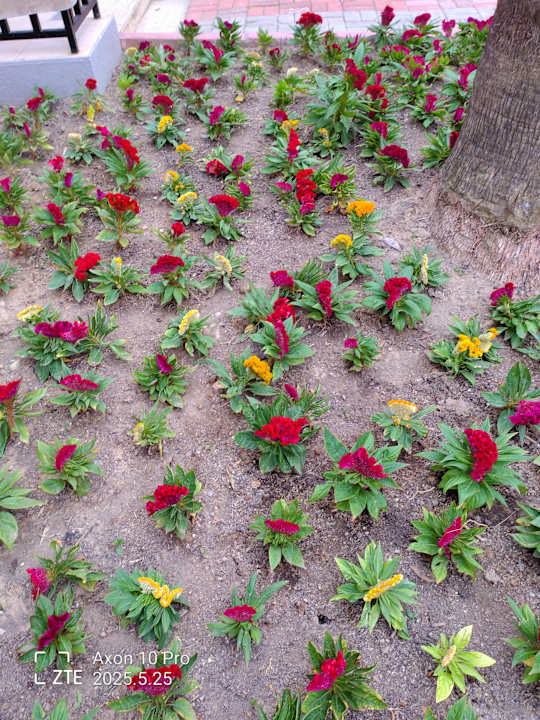 Gartenanlage VONRESORT Golden Beach