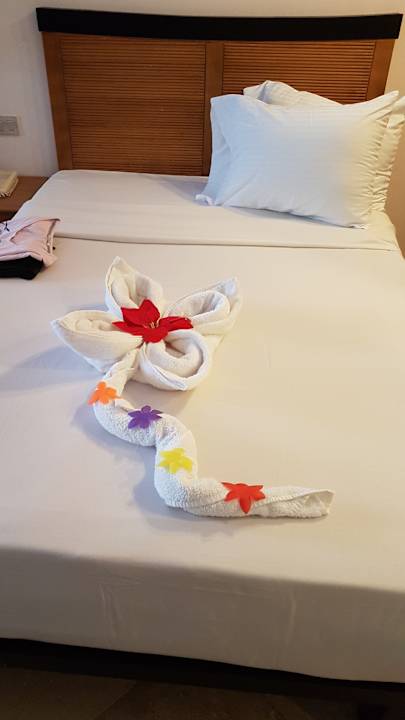 Zimmer Moreno Horizon Spa & Resort