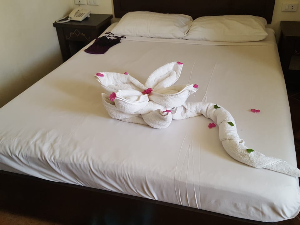 Zimmer Three Corners Sea Beach Resort