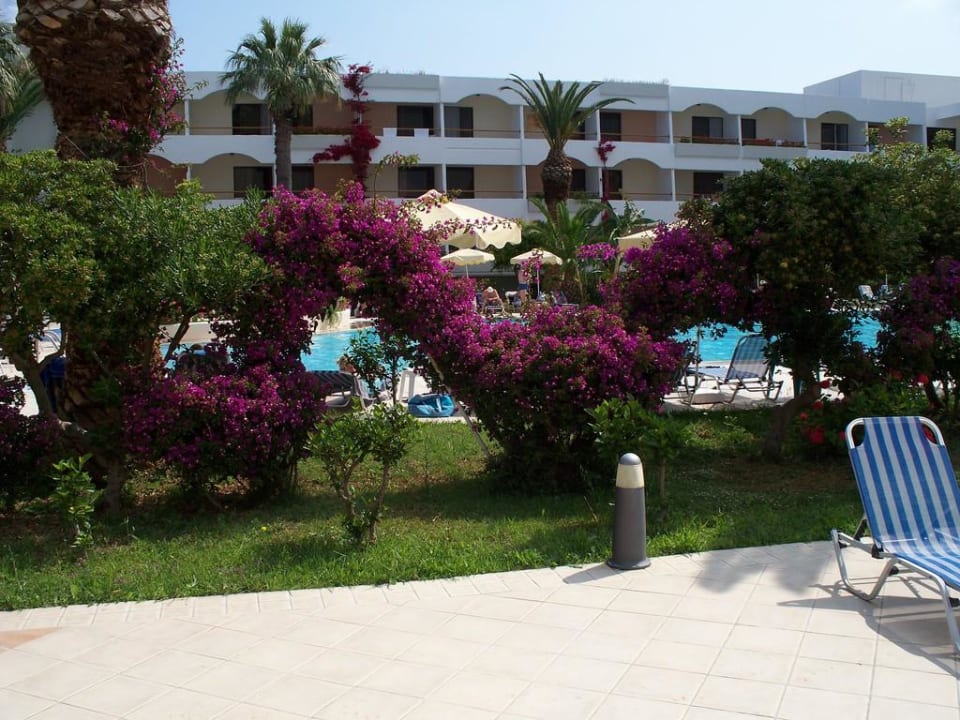 Wunderschöner Blumenschmuck am Pool Hotel Tigaki Beach