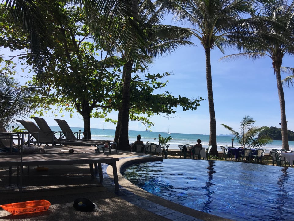 Pool mit Meerblick The Noble House Beach Resort