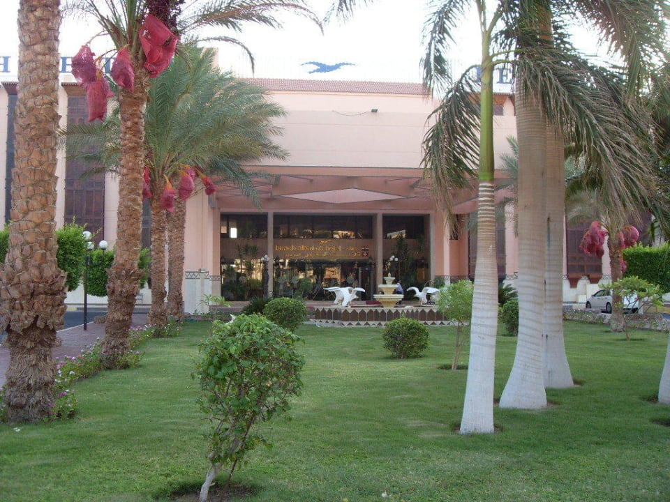 Eingang zum Hotel Beach Albatros Resort