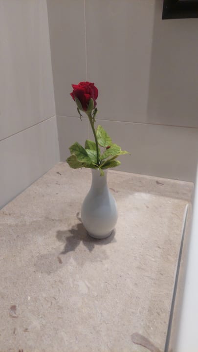 Zimmer Iberostar Selection Kuriat Palace