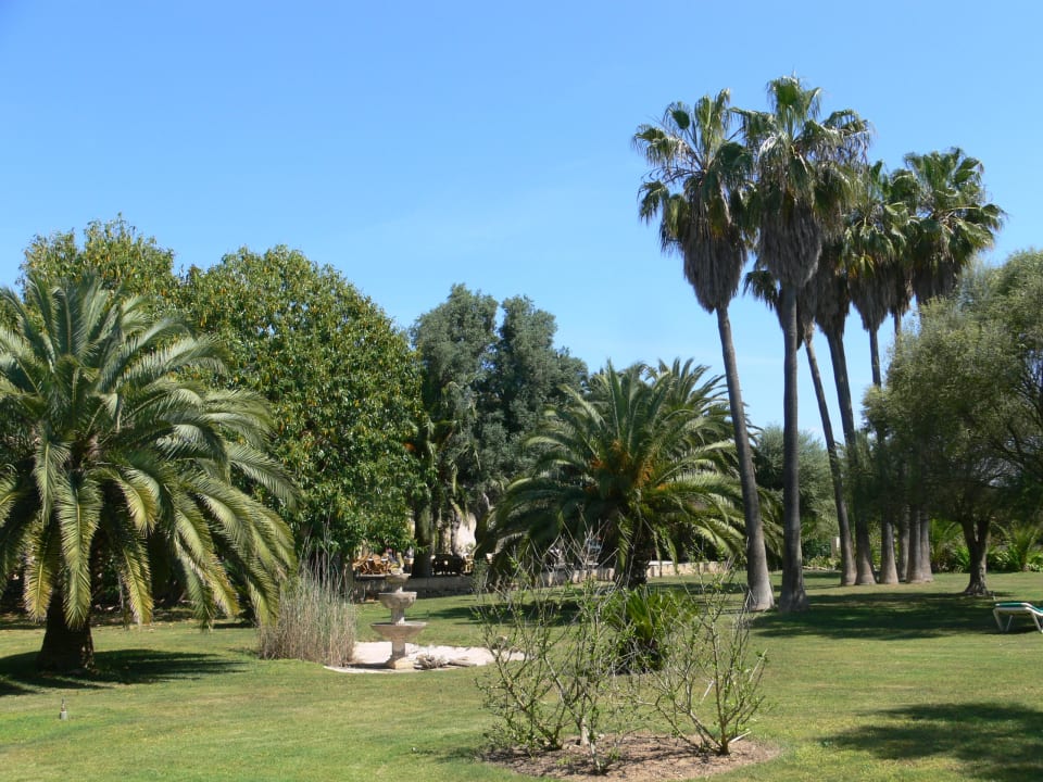 Teilansicht der Parkanlage Finca Hotel Predio Son Serra