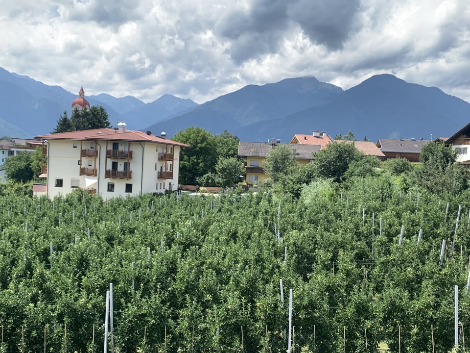 Außenansicht Das Mühlwald - Quality Time Family Resort