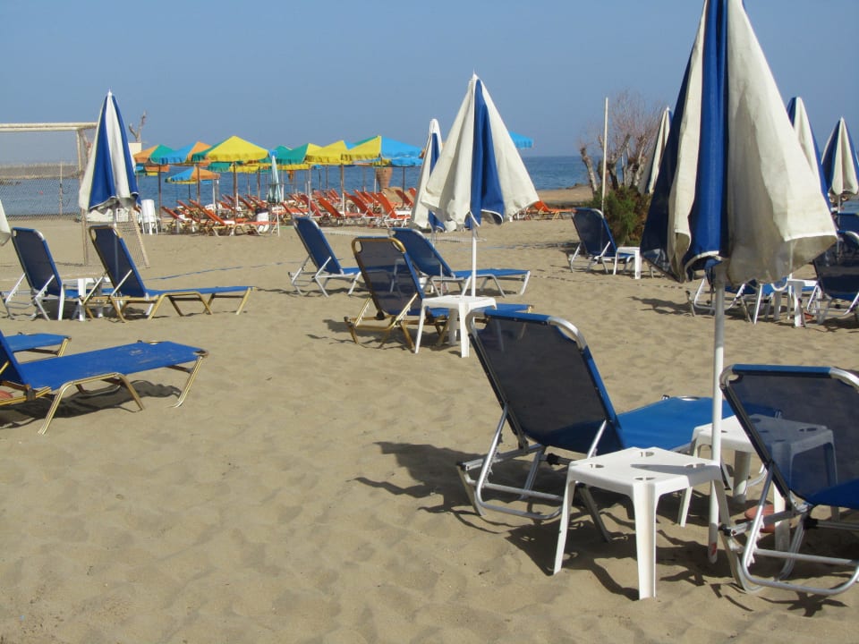 Hotel Phaedra Beach allsun Hotel Carolina Mare