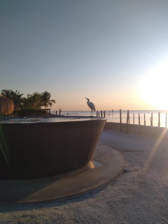 Ausblick Hotel Villas Flamingos